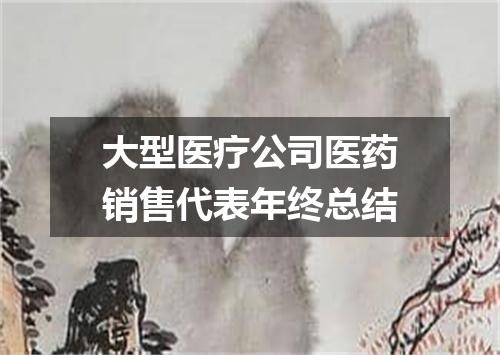 大型医疗公司医药销售代表年终总结