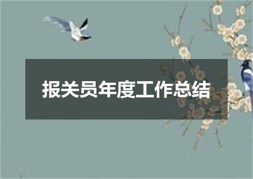 报关员年度工作总结