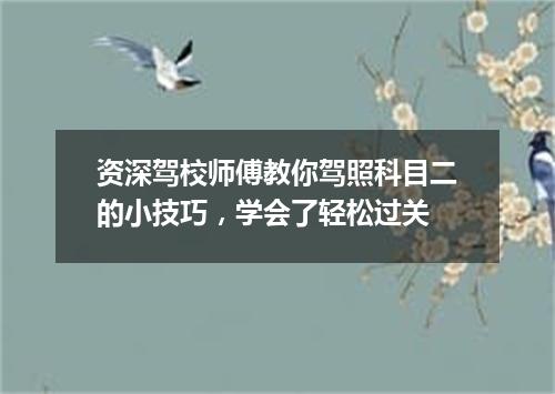 资深驾校师傅教你驾照科目二的小技巧，学会了轻松过关