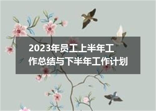 2023年员工上半年工作总结与下半年工作计划