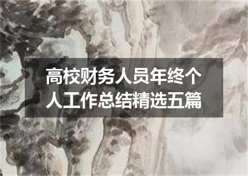 高校财务人员年终个人工作总结精选五篇