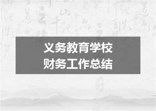 义务教育学校财务工作总结