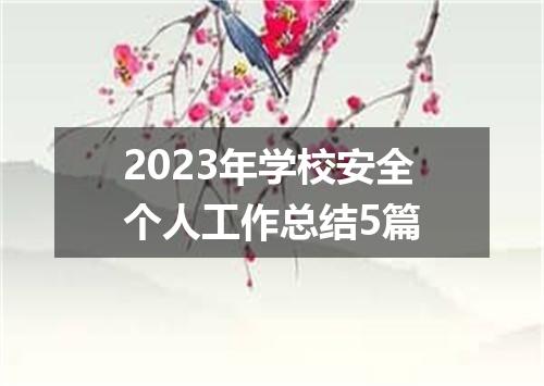 2023年学校安全个人工作总结5篇