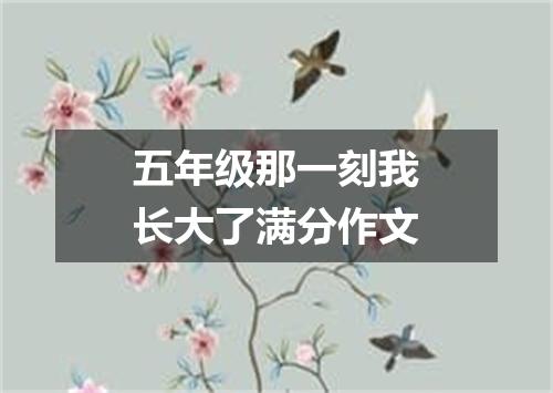 五年级那一刻我长大了满分作文