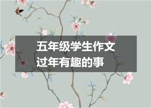 五年级学生作文过年有趣的事