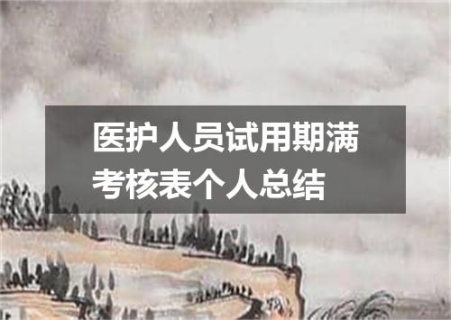 医护人员试用期满考核表个人总结