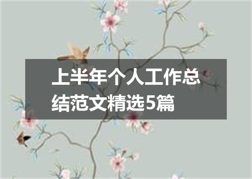 上半年个人工作总结范文精选5篇