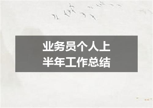 业务员个人上半年工作总结