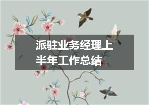 派驻业务经理上半年工作总结