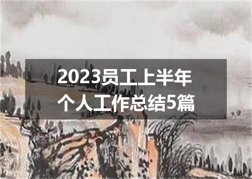 2023员工上半年个人工作总结5篇