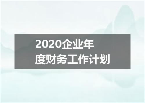 2020企业年度财务工作计划