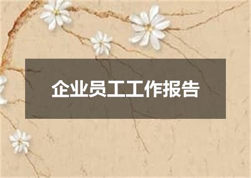 企业员工工作报告