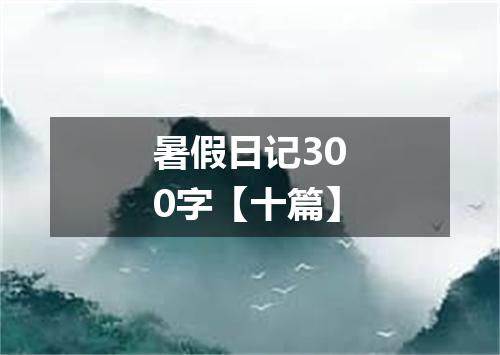 暑假日记300字【十篇】