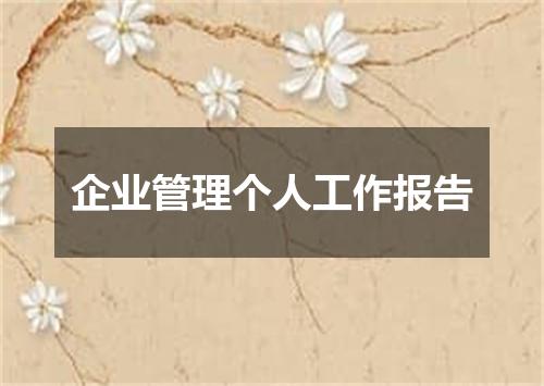 企业管理个人工作报告