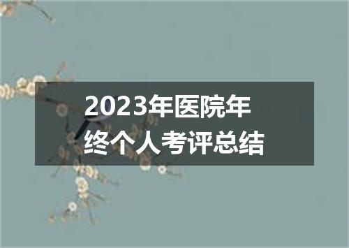 2023年医院年终个人考评总结
