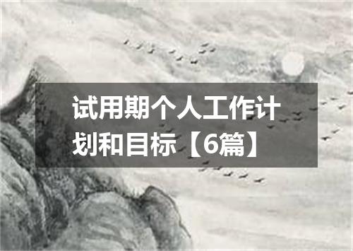 试用期个人工作计划和目标【6篇】