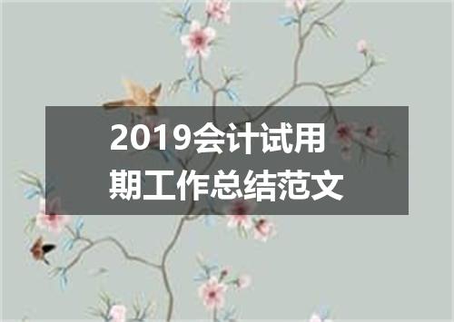 2019会计试用期工作总结范文