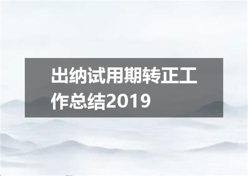 出纳试用期转正工作总结2019