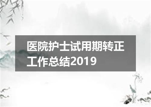 医院护士试用期转正工作总结2019