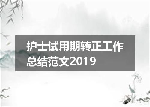 护士试用期转正工作总结范文2019