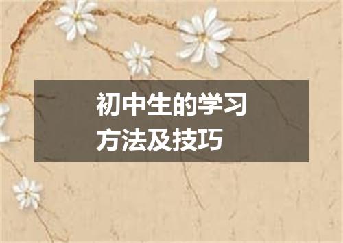 初中生的学习方法及技巧