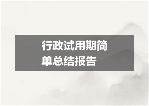 行政试用期简单总结报告