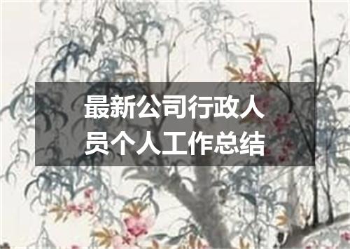 最新公司行政人员个人工作总结