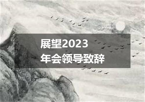 展望2023年会领导致辞