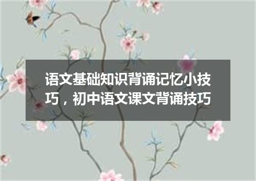 语文基础知识背诵记忆小技巧，初中语文课文背诵技巧