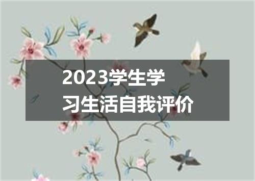 2023学生学习生活自我评价