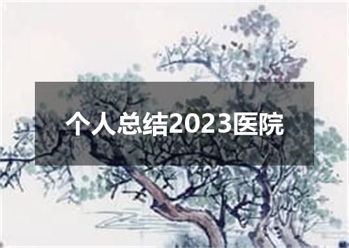 个人总结2023医院