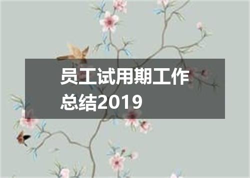 员工试用期工作总结2019