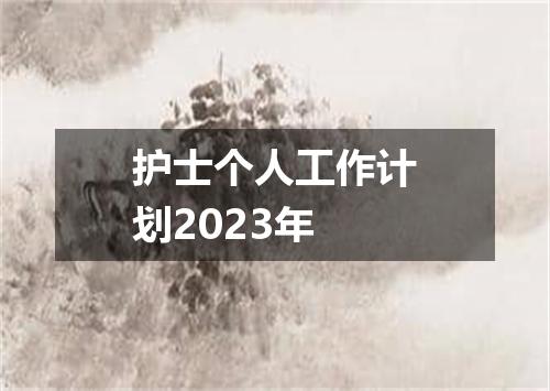 护士个人工作计划2023年