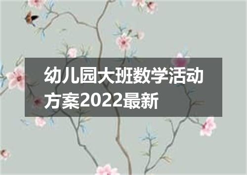 幼儿园大班数学活动方案2022最新