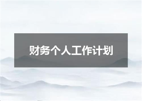 财务个人工作计划