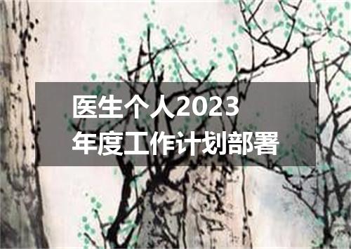 医生个人2023年度工作计划部署