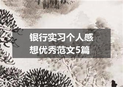 银行实习个人感想优秀范文5篇