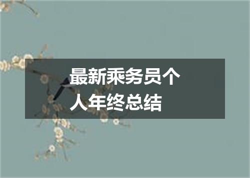 最新乘务员个人年终总结