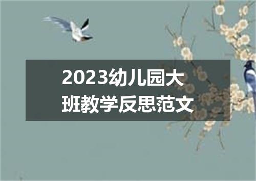2023幼儿园大班教学反思范文