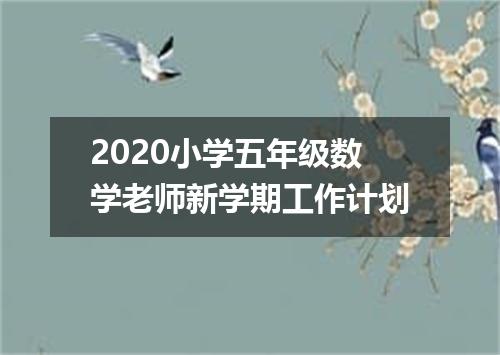 2020小学五年级数学老师新学期工作计划