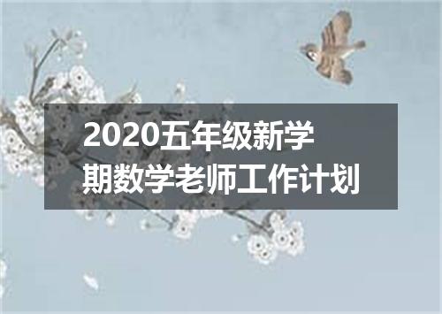 2020五年级新学期数学老师工作计划