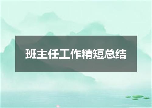 班主任工作精短总结