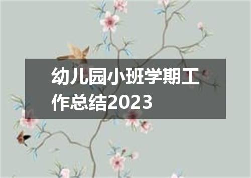 幼儿园小班学期工作总结2023