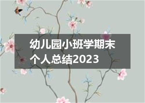 幼儿园小班学期末个人总结2023