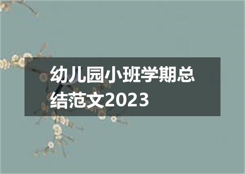 幼儿园小班学期总结范文2023