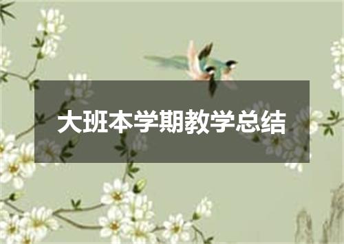 大班本学期教学总结
