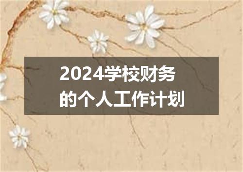 2024学校财务的个人工作计划