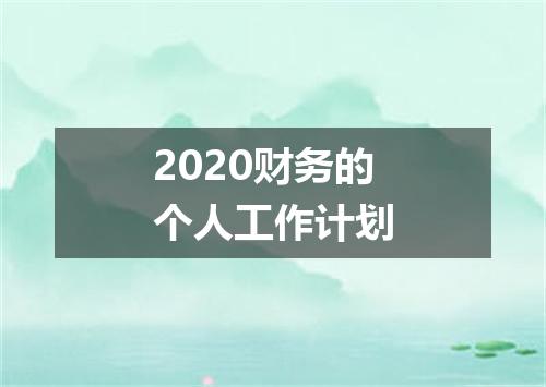 2020财务的个人工作计划