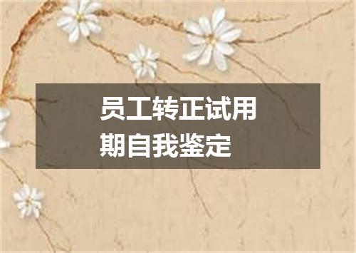 员工转正试用期自我鉴定