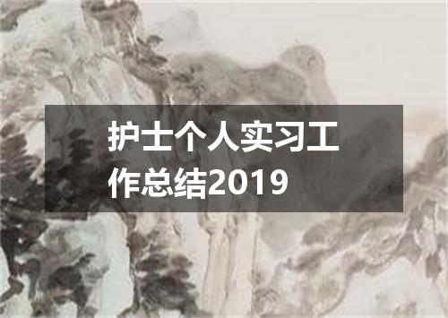 护士个人实习工作总结2019